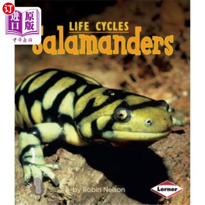 海外直订Salamanders 蝾螈