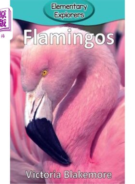海外直订Flamingos 火烈鸟