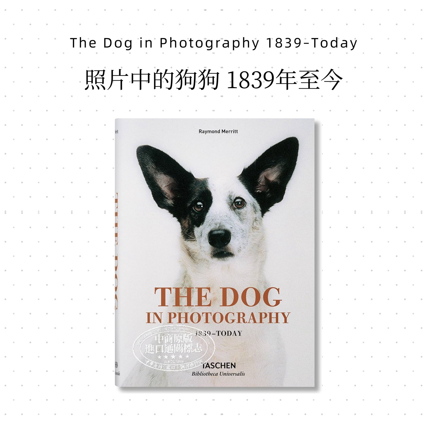 The Dog in Photography 1839–Today 进口艺术 动物摄影 照片中的狗【中商原版】