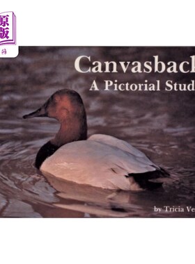 海外直订Canvasbacks: A Pictorial Study 帆布背:一项绘画研究