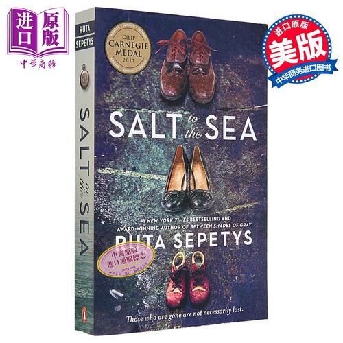 至海之盐 Salt to the sea 英文原版 Ruta Sepetys 现代小说 国际流行小说 历史小说【中商原版】