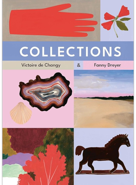 【法文版】法语绘本 小孩的宝藏收藏集 Fanny Dreyer绘 Collections 法文原版 Victoire de Changy【中商原版】