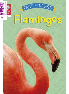 预售 Reading Gems Fact Finders Flamingos Level 1 宝石百科小读本1级 火烈鸟 分级阅读 英文原版 动物科普儿童读物【中商原版】