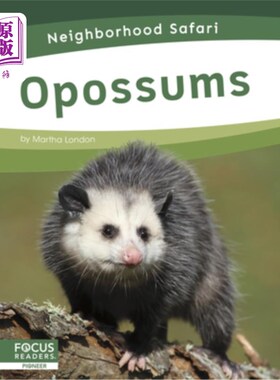海外直订Opossums 负鼠