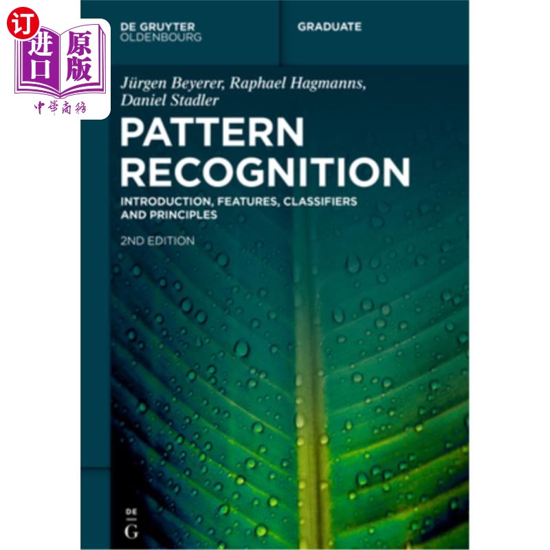 海外直订Pattern Recognition: Introduction, Features, Classifiers and Principles 模式识别：介绍、特征、分类器和原理