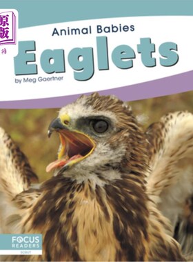 海外直订Eaglets 小鹰