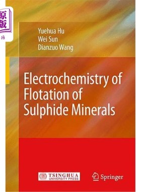 海外直订Electrochemistry of Flotation of Sulphide Minerals 硫化矿物浮选的电化学研究