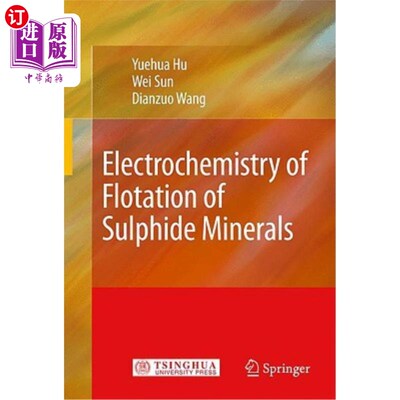 海外直订Electrochemistry of Flotation of Sulphide Minerals 硫化矿物浮选的电化学研究