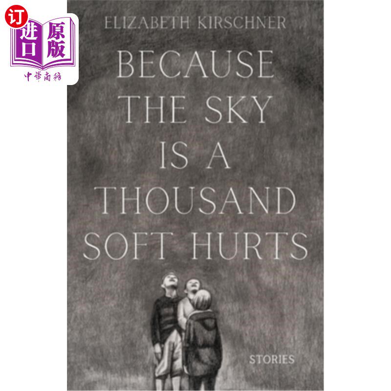 海外直订Because the Sky is a Thousand Soft Hurts 因为天空是千疮百孔
