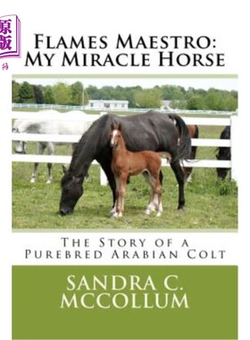 海外直订Flames Maestro: My Miracle Horse: The Story of a Purebred Arabian Colt 火焰大师：我的神马：纯种阿拉伯小马的