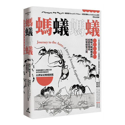 9月中旬到货