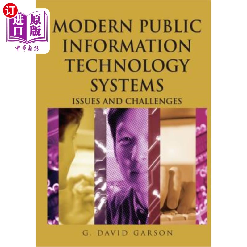 海外直订Modern Public Information Technology Systems: Issues and Challenges 现代公共信息技术系统:问题与挑战