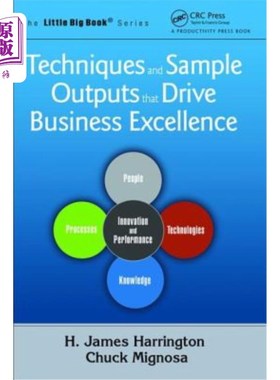 海外直订Techniques and Sample Outputs That Drive Business Excellence 驱动卓越业务的技术和样本输出