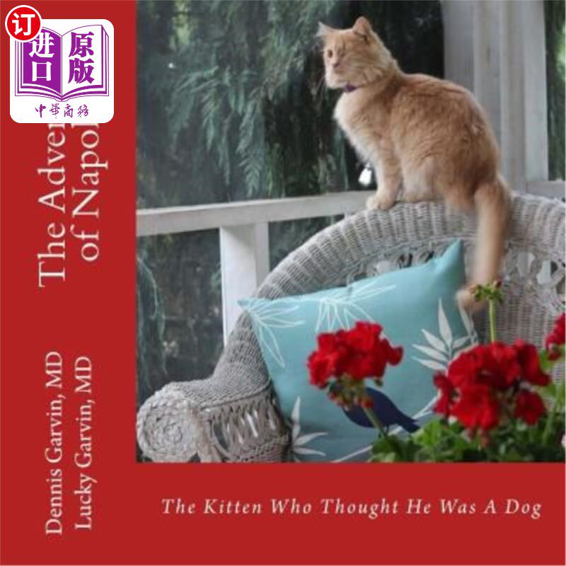 海外直订The Adventures of Napoleon: The Kitten Who Thought He Was A Dog 拿破仑历险记:一只以为自己是狗的小猫