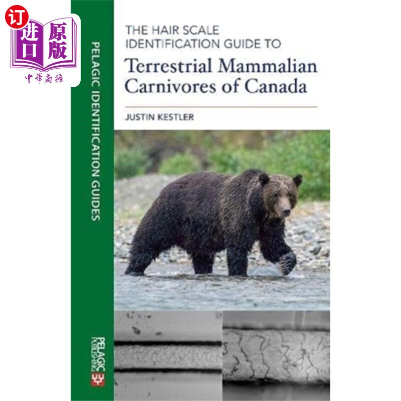 海外直订Hair Scale Identification Guide to Terrestrial M... 加拿大陆生食肉哺乳动物毛鳞鉴定指南