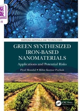海外直订Green Synthesized Iron-based Nanomaterials 绿色合成铁基纳米材料
