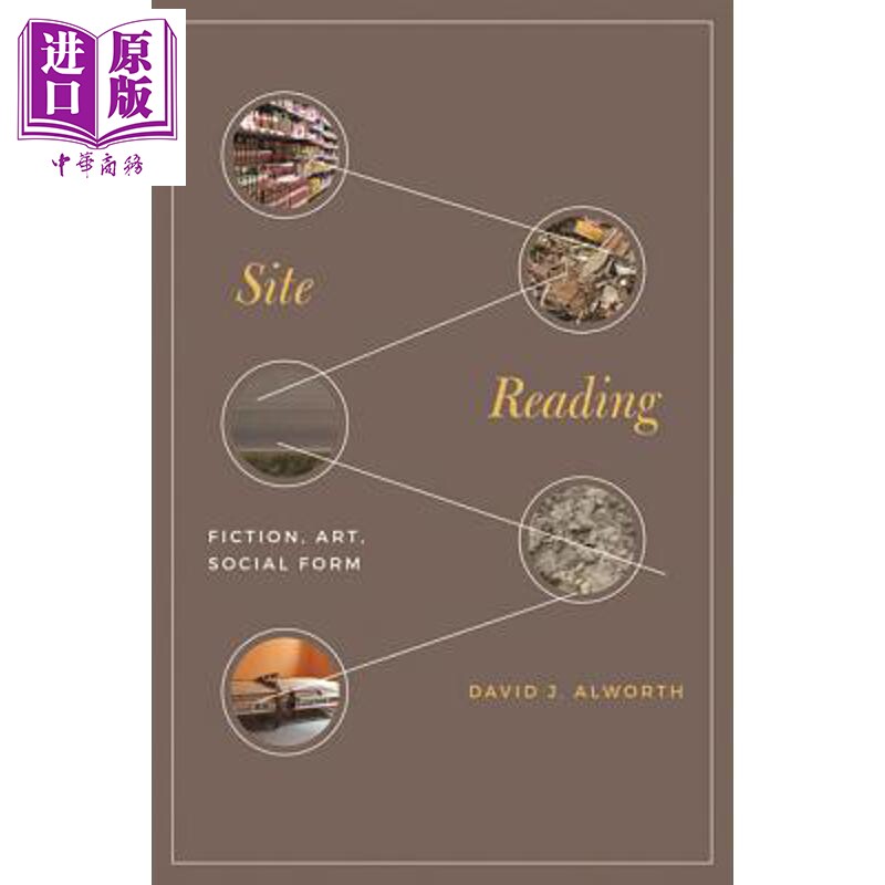 预售 网站阅读 小说、艺术与社会形态 Site Reading Fiction, Art, Social Form 英文原版 David J Alworth【中商原版】
