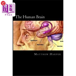 海外直订The Human Brain: A Fascinating Book Containing Human Brain Facts, Trivia, Images 人类大脑:一个迷人的书包含