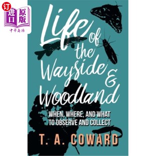 and Where Wayside 路边和林地 何地 海外直订Life Collect Woodland the What When 生活：何时 Observe