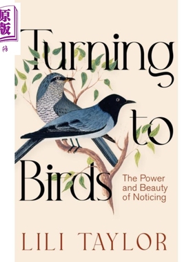 转向鸟类 注意的力量与美 平装 Turning to Birds The Power and Beauty of Noticing 英文原版 Lili Taylor【中商原版】