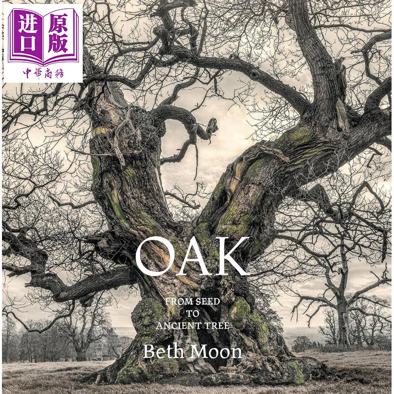 预售 Oak: From Seed to Ancient Tree 进口艺术 橡树:从种子到参天古树 植物摄影【中商原版】
