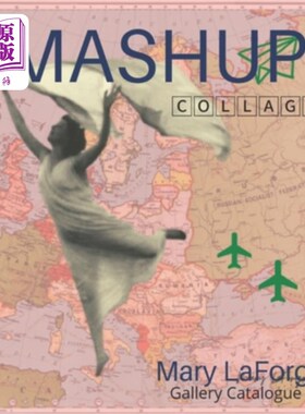 海外直订Mashup 混搭