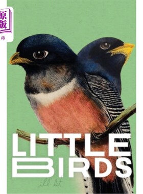 海外直订Little Birds (green) 小鸟（绿色）