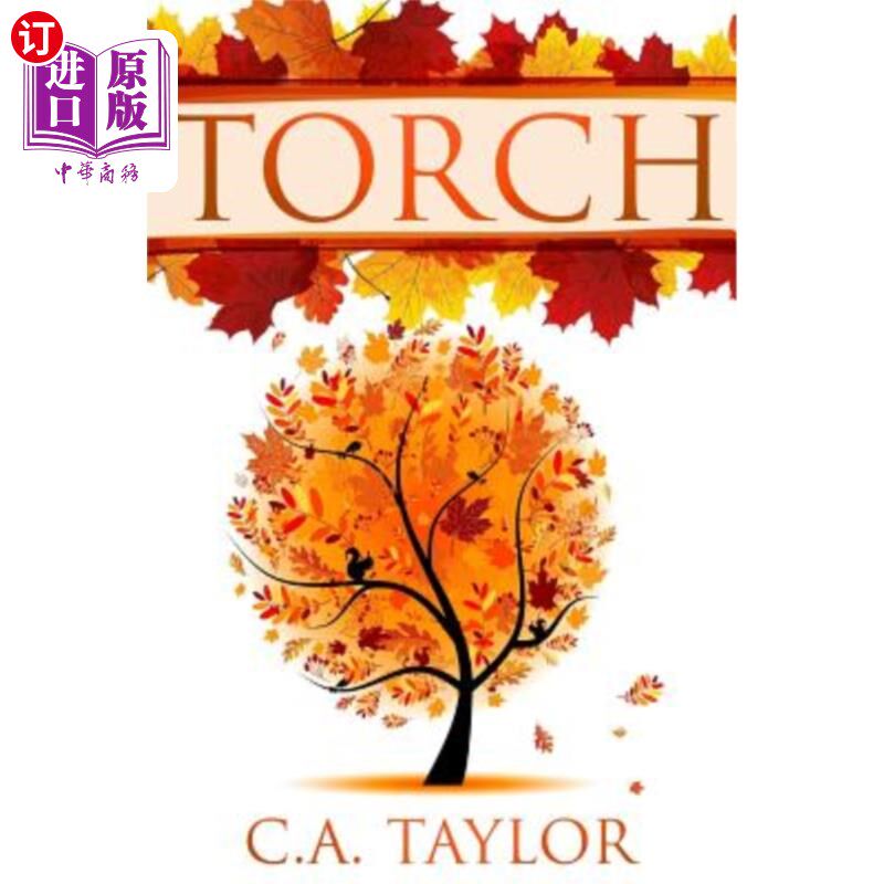 海外直订torch 火炬