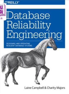 海外直订Database Reliability Engineering: Designing and Operating Resilient Database Sys 数据库可靠性工程：设计和运