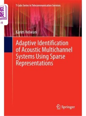 海外直订Adaptive Identification of Acoustic Multichannel Systems Using Sparse Representa 基于稀疏表示的声学多通道系