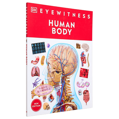 人体大脑肌肉骨架心脏科普指南