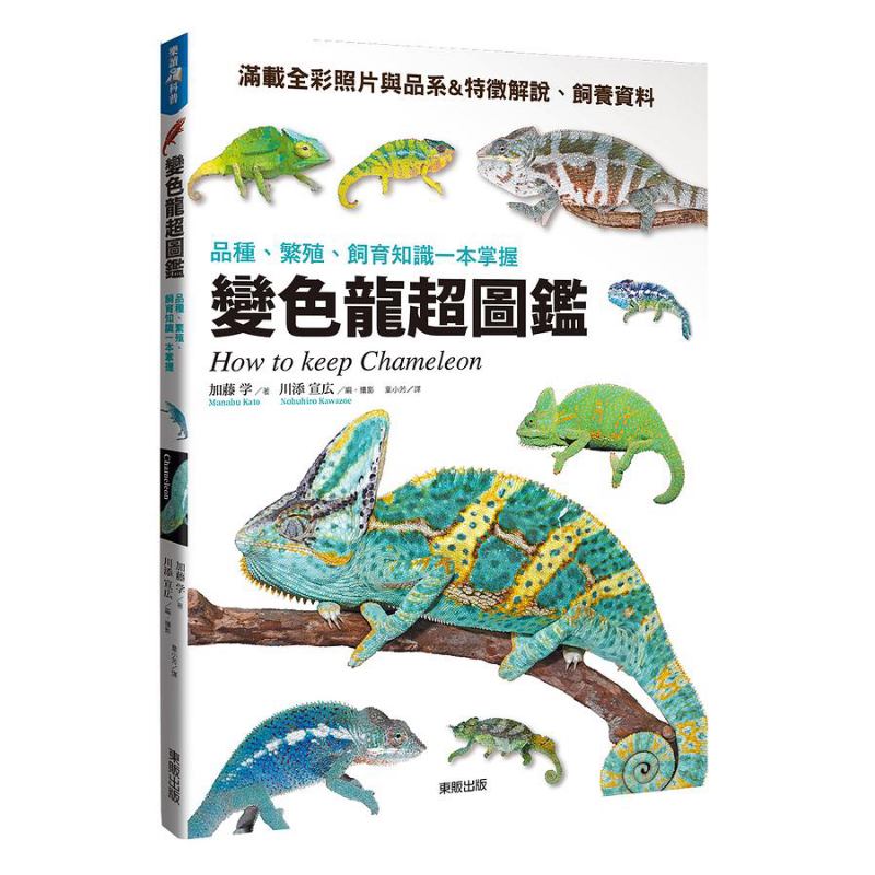 变色龙超图鉴 品种 繁殖 饲育知识一本掌握 港台原版 加藤学 台湾东贩 【中商原版】