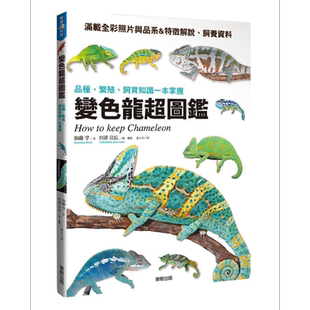 变色龙超图鉴 品种 繁殖 饲育知识一本掌握 港台原版 加藤学 台湾东贩 【中商原版】