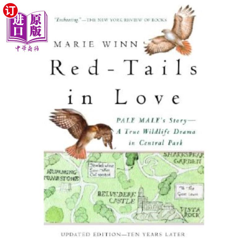 海外直订Red-Tails in Love: PALE MALE'S STORY--A True Wildlife Drama in Central Park 《恋爱中的红尾巴：白种人的故事