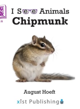 海外直订Chipmunk 花栗鼠
