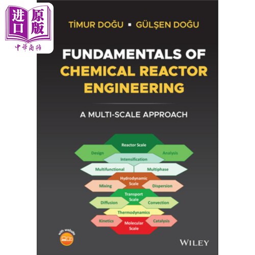 化学反应器工程基础 多尺度方法 Fundamentals Of Chemical Reactor Engineering 英文原版 Timur Dogu【中商原版】
