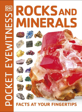 DK目击者口袋系列 恒星和行星 Pocket Eyewitness Rocks and Minerals DK百科 英文原版 畅游宇宙【中商原版】