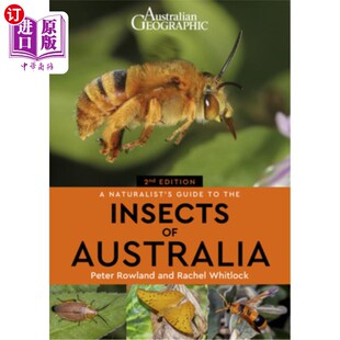 Guide Australia Naturalist 澳大利亚昆虫博物学家指南 Insects 海外直订A the