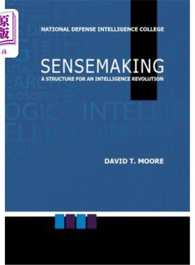 海外直订Sensemaking: A Structure for an Intelligence Revolution 意义制造:智能革命的结构