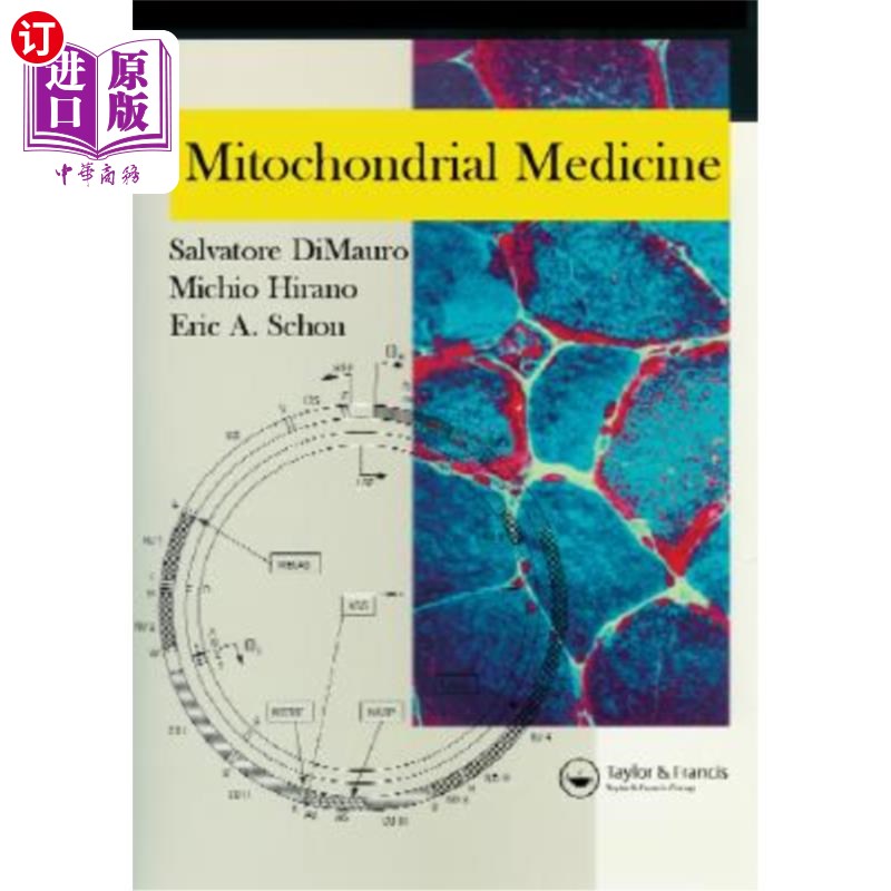 海外直订Mitochondrial Medicine 线粒体医学