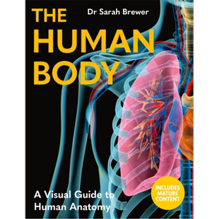 人体 人体解剖的视觉指南 英文原版 The Human Body A Visual Guide to Human Anatomy【中商原版】