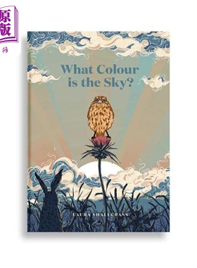 现货 What Colour Is The Sky? 天空是什么颜色的？英文原版 进口原版 精装 5岁到8岁 儿童图画书 Laura Shallcrass【中商原版】