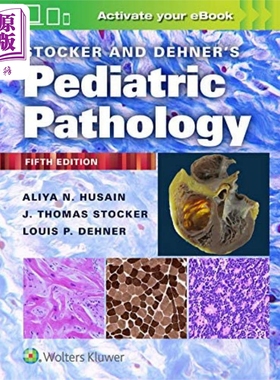 Stocker Dehner 小儿病理学 第5版 英文原版 Stocker and Dehners Pediatric Pathology Aliya N Husain【中商原版】