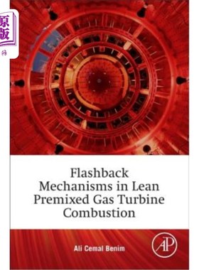 海外直订Flashback Mechanisms in Lean Premixed Gas Turbine Combustion 稀薄预混燃气轮机燃烧的回火机理