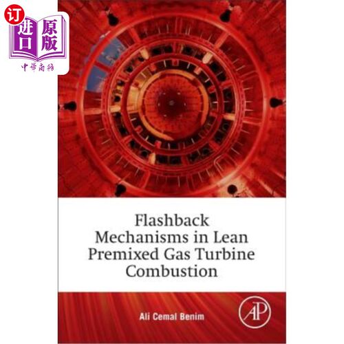 海外直订Flashback Mechanisms in Lean Premixed Gas Turbine Combustion 稀薄预混燃气轮机燃烧的回火机理