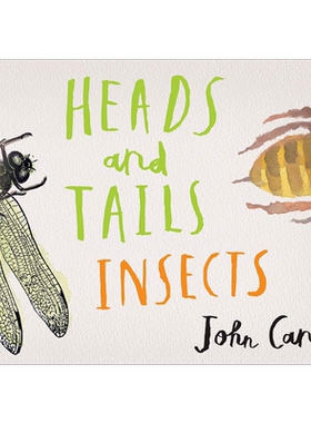 Heads and Tails: Insects 头与尾：昆虫 英文原版 进口图书 儿童绘本 动物知识百科图画书 自然科学儿童读物童书【中商原版?