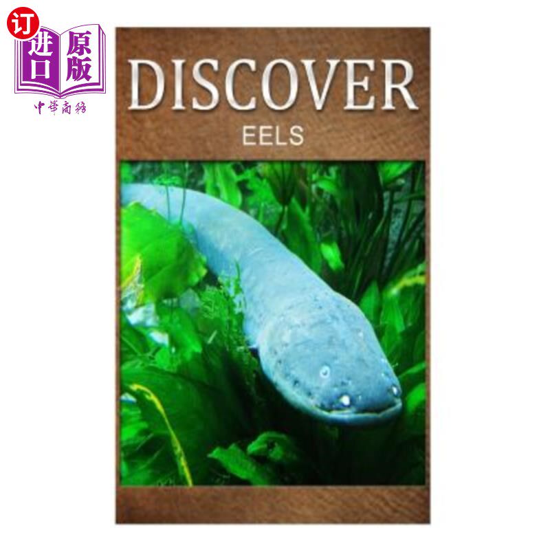 海外直订Eels - Discover: Early Reader's Wildlife Photography Book 鳗鱼-发现：早期读者野生动物摄影书籍
