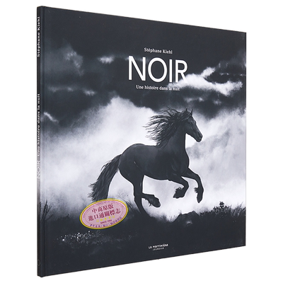 黑色夜晚历史儿童绘本