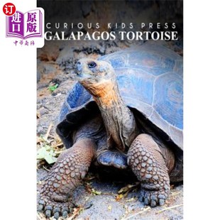 海外直订Galapagos Tortoise - Curious Kids Press: Kids Book about Animals and Wildlife, C 加拉帕戈斯乌龟-好奇的孩子