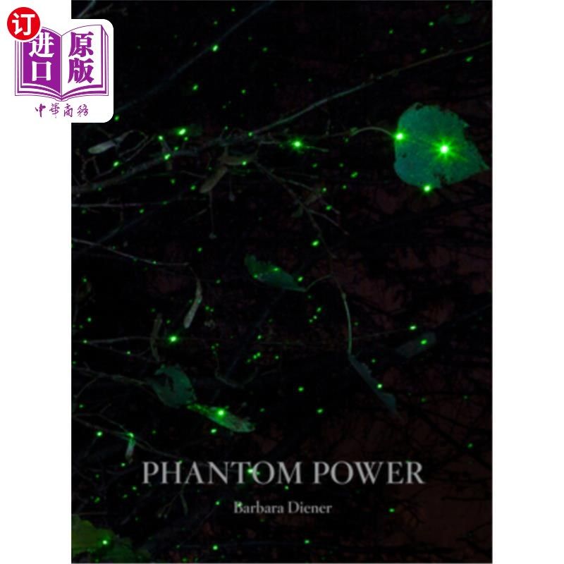 海外直订phantom power 幻象电源